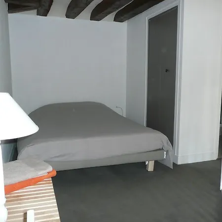 Duplex De Standing Au Coeur De * Tours
